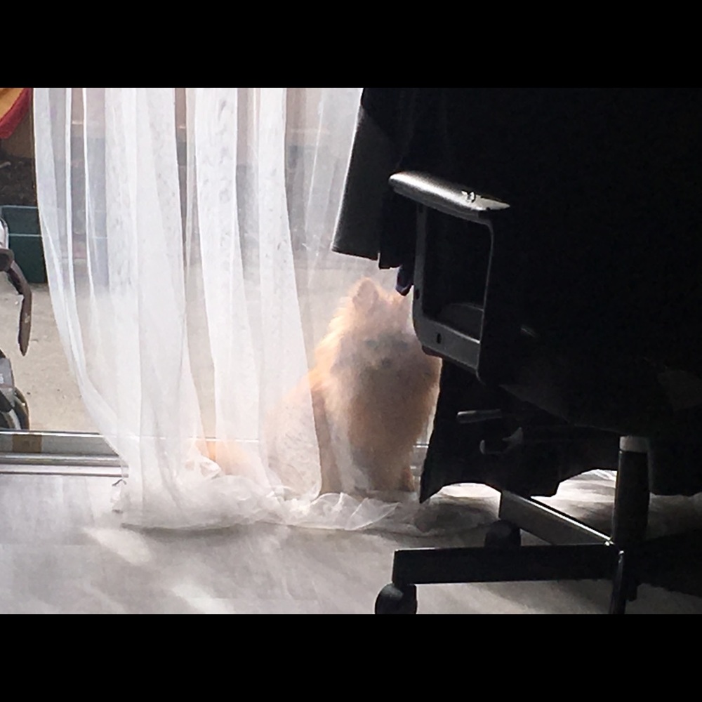 Meet your Posher, Tatsiana